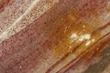 Polished Triassic Petrified Wood Heart - Madagascar #355625-1